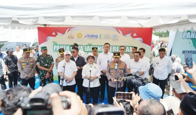 
 Panen Raya Jagung Kuartal III: Polri Panen 7.153 Ton Jagung di Lahan 1.788 Hektare