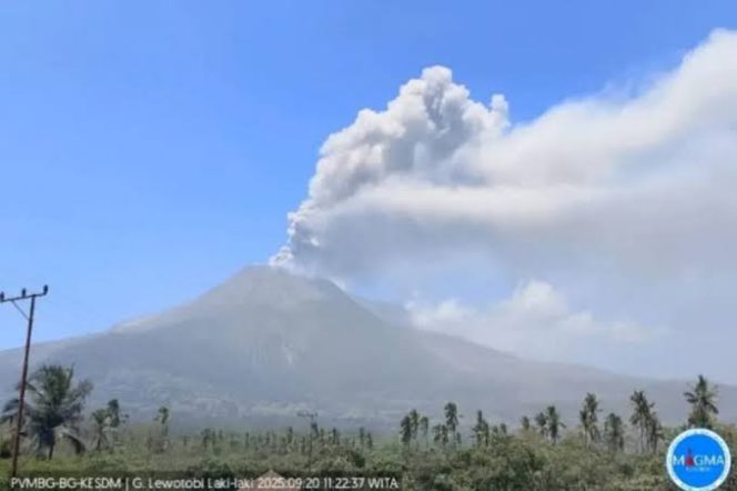 
 Gunung Lewotobi Laki-laki Meletus 19 Kali dalam Enam Jam, Status Tetap Level IV (Awas