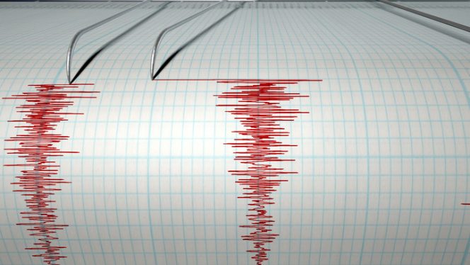 
 Gempa Magnitudo 4,6 Guncang Tasikmalaya, BMKG: Kedalaman 0 Km