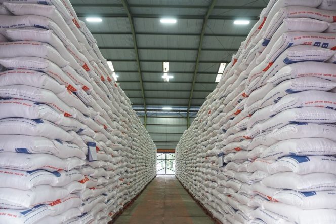 
 Produksi Beras Nasional 2025 Naik 13,5%, Indonesia di Ambang Swasembada Pangan