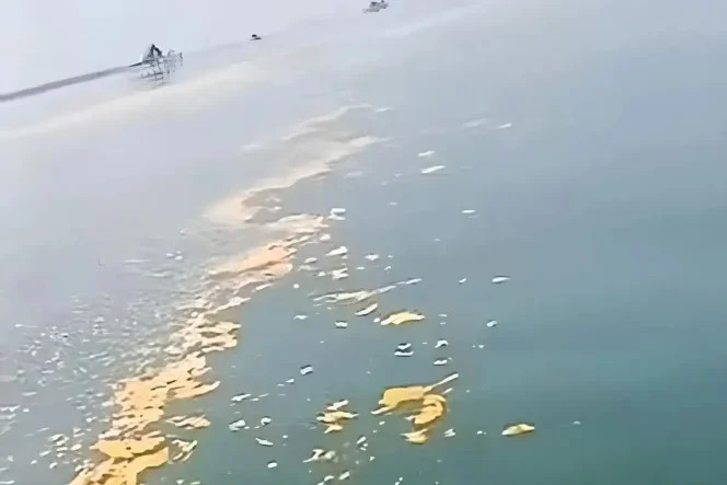 
 Pesisir Pantura Tangerang Diduga Tercemar Limbah Minyak, DLH Turun Tangan Investigasi