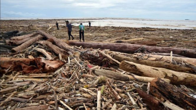 
 Titiek Soeharto Minta Penebangan Pohon Besar Dihentikan Usai Banjir di Sumatera